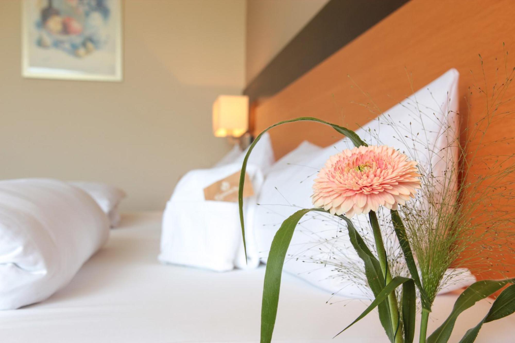 Hotel Leinsweiler Hof Ngoại thất bức ảnh