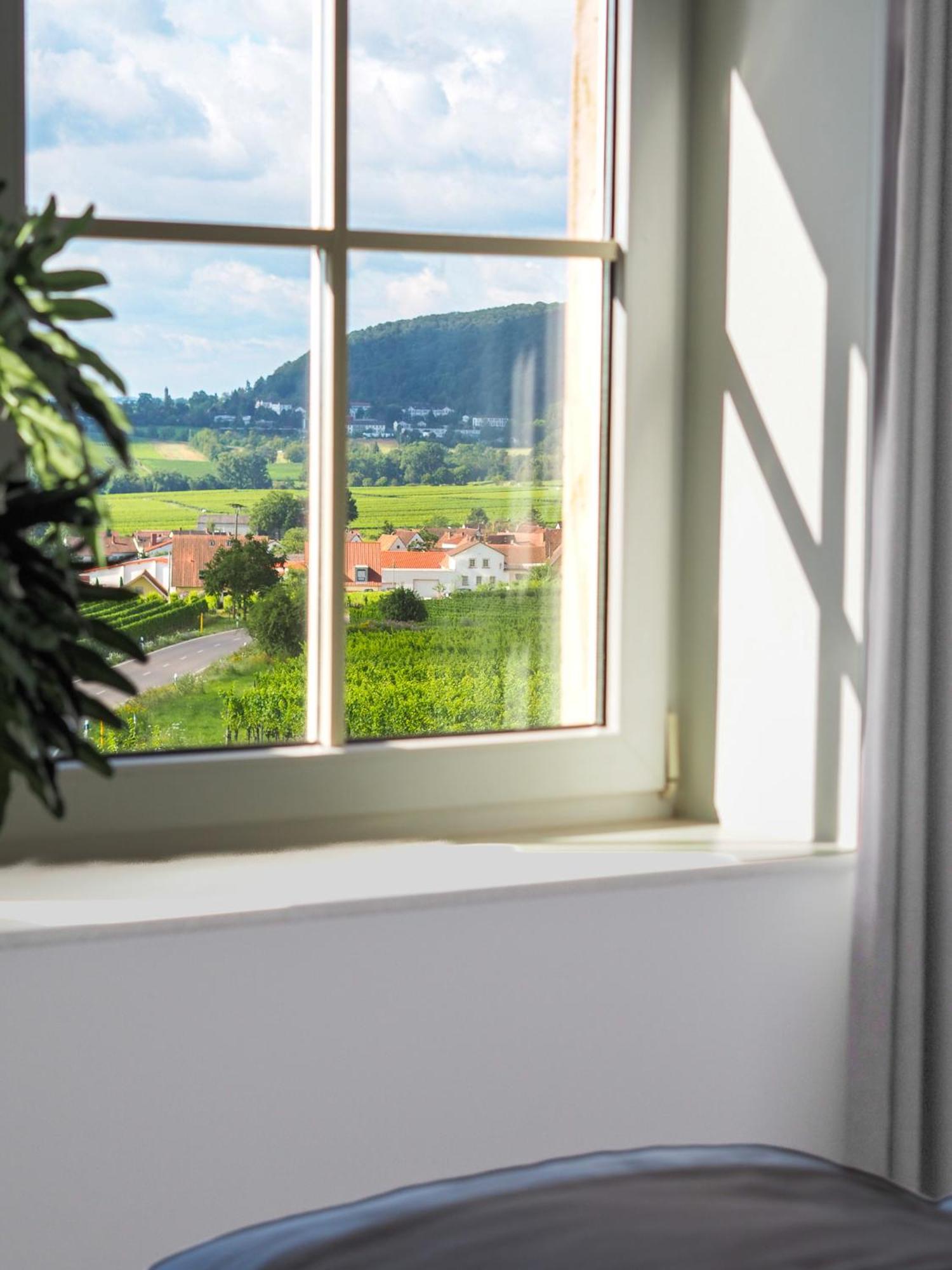 Hotel Leinsweiler Hof Ngoại thất bức ảnh